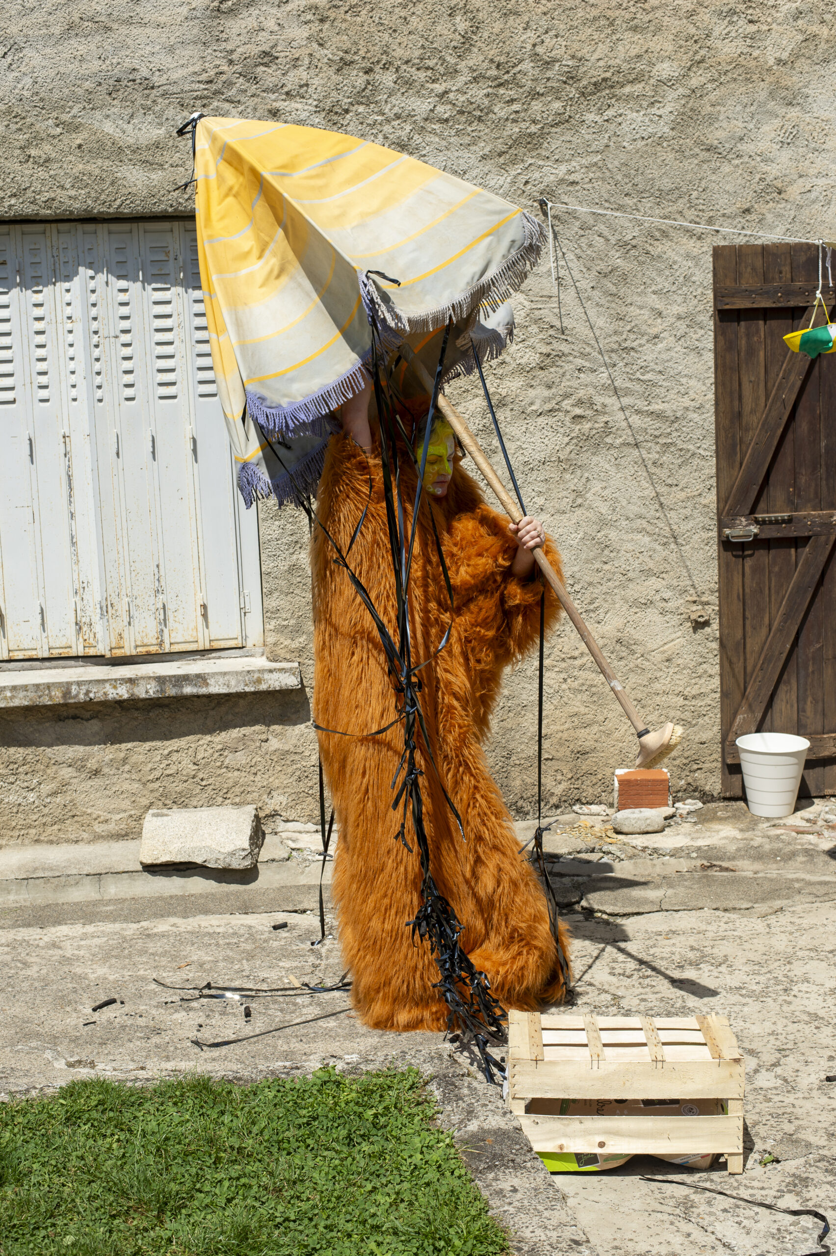 Cam France Array @frecklescorp_EC01356