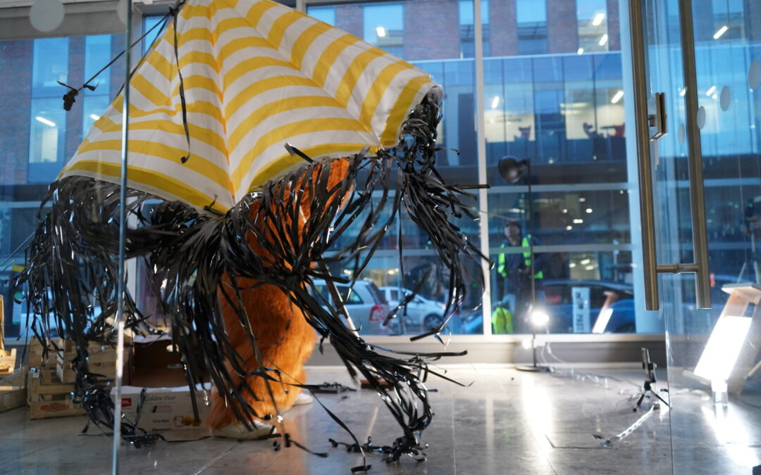 Worm and Ash without Borders/An Péiste agus an Fuinseog BIFPA 25 Sally O’Dowd image by Dr Sandra Johnston